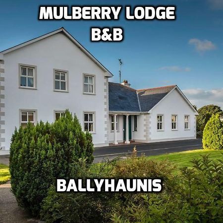 Mulberry Lodge Guest House Ballyhaunis Εξωτερικό φωτογραφία